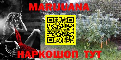 МДПВ Сланцы
