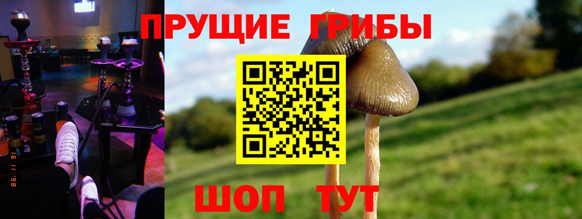 Псилоцибиновые грибы GOLDEN TEACHER  Вход с VPN  дарнет шоп  Галлюциногенные грибы Psilocybe  Конаково 